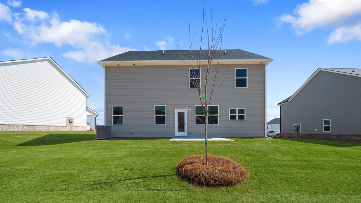 Packard Exterior Rear
