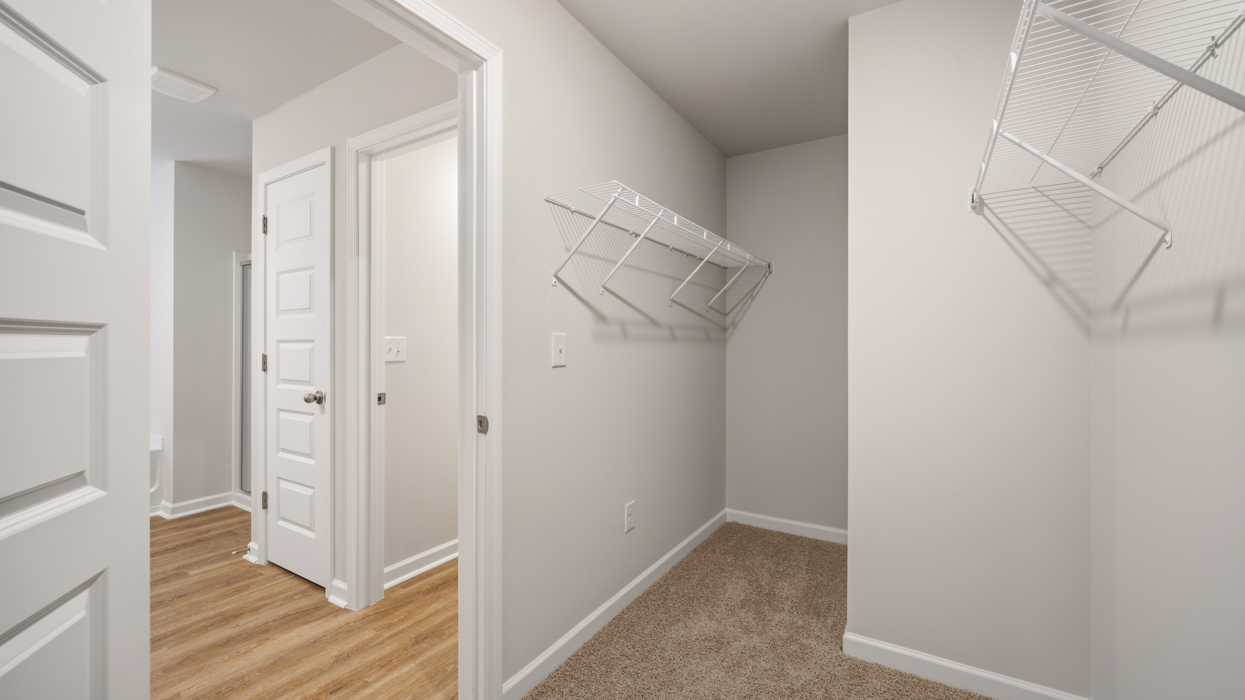 Hayden Interior