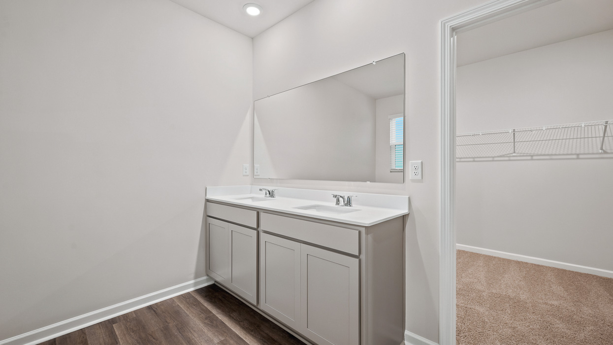 primary bathroom dual sinks