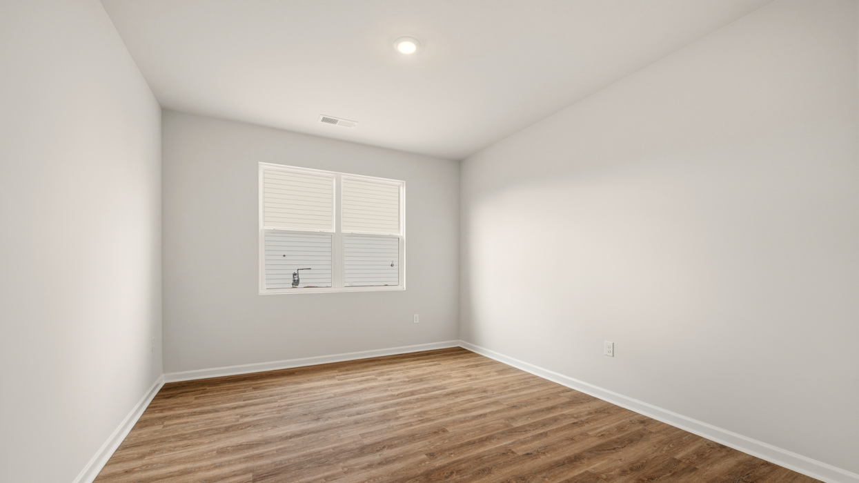 rendering