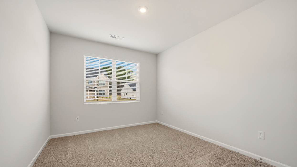rendering