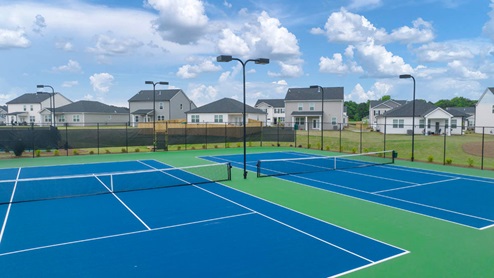 pickle ball