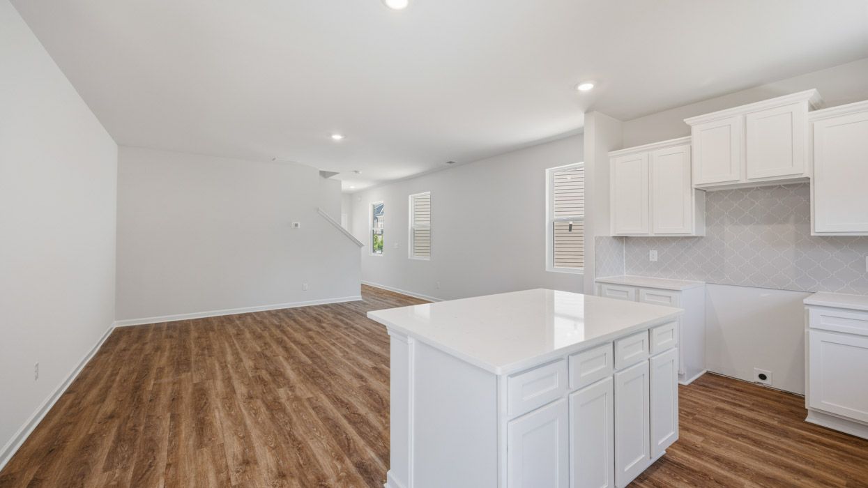 Kitchen and great room