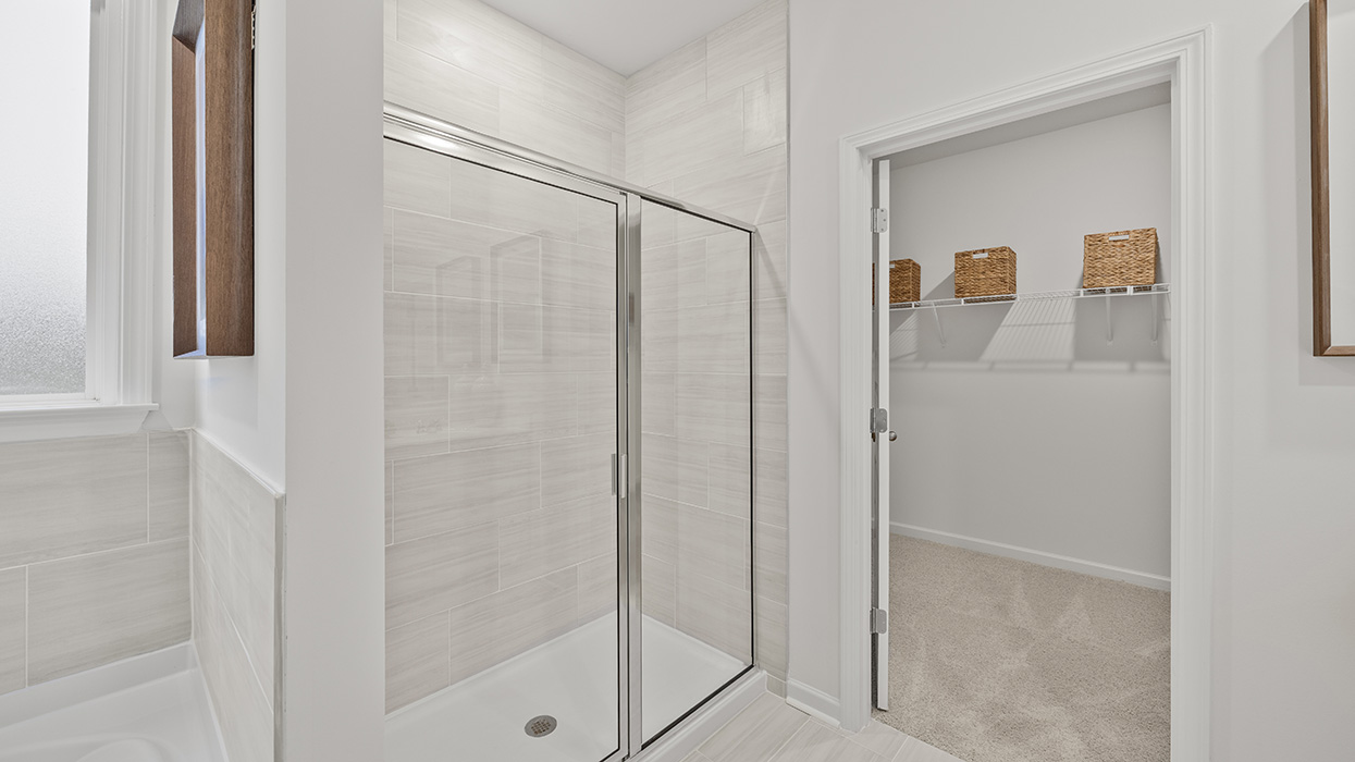Denton model shower