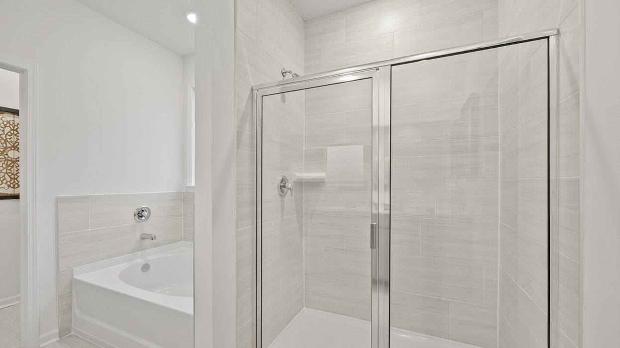 Denton model shower