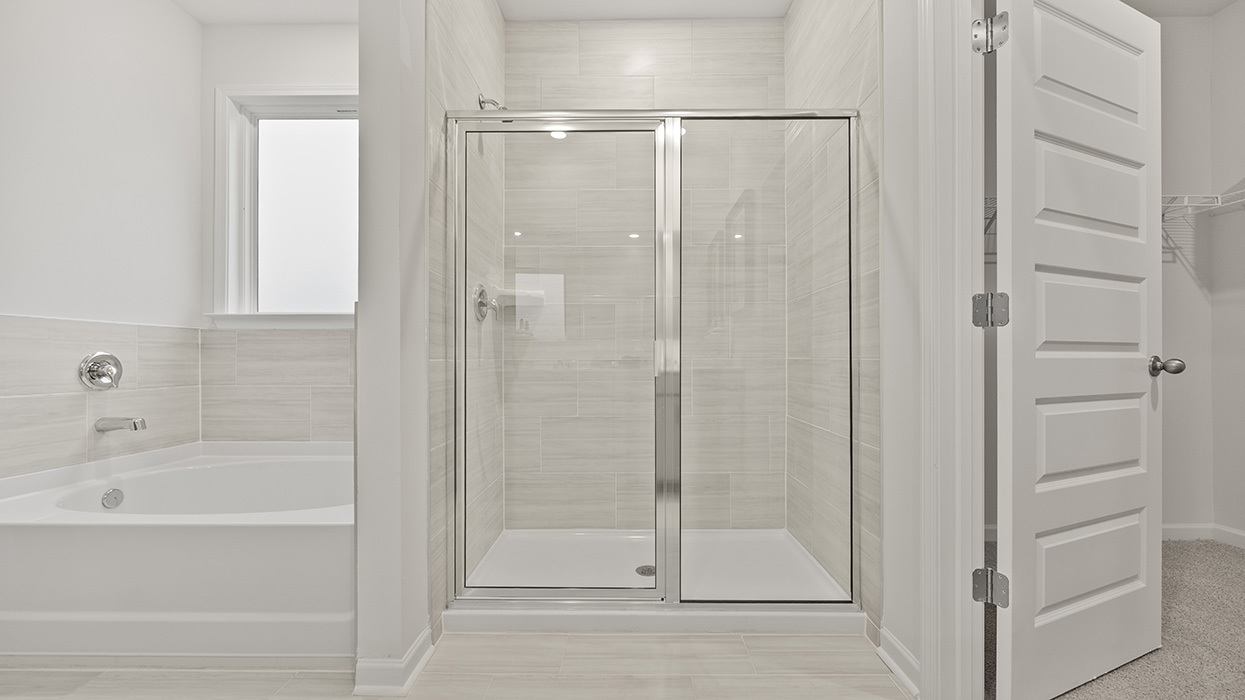 Denton model shower