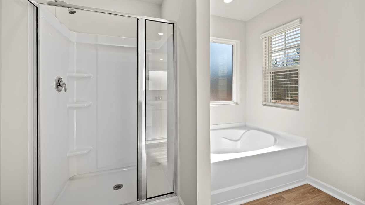 primary bathroom shower and tub