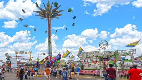 Georgia National Fair