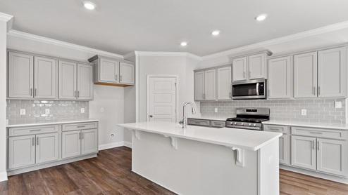 Sleek and luxurious kitchen