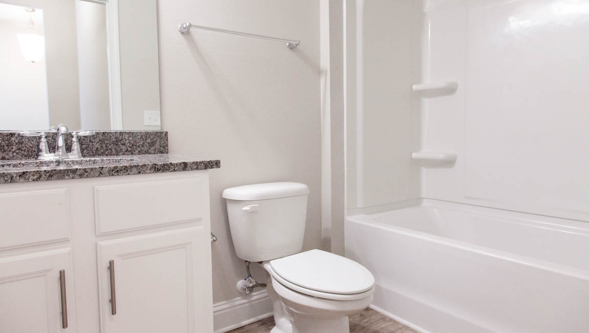 Spacious guest bath with modern fixtures in a new D.R. Horton home.