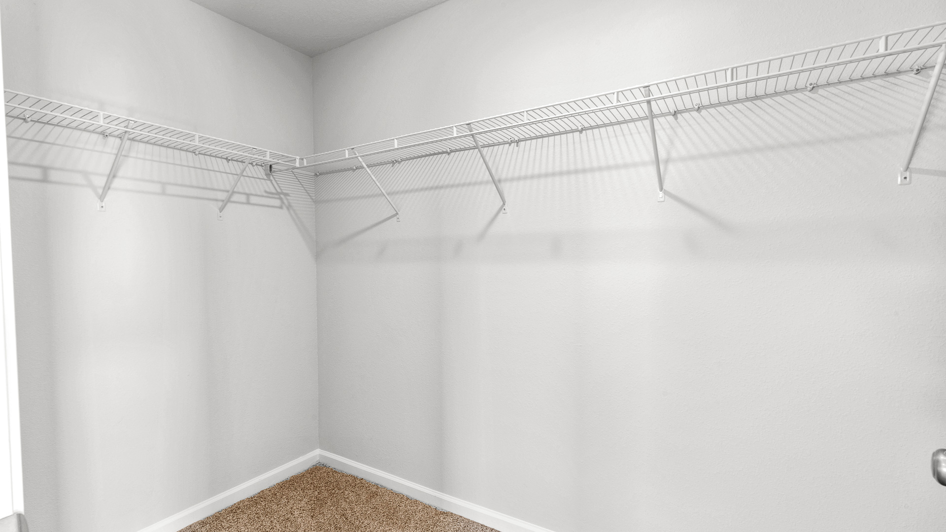 Large primary walk in closet with plush carpet and shelving for storage in a new D.R. Horton home.