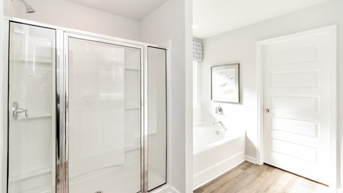 Primary bathroom