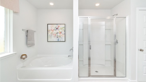 standing show inside the primary bathroom