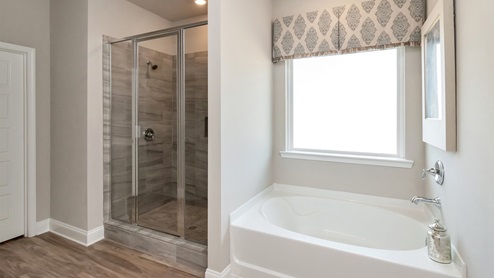 Primary bathroom showcasing the shower and tub.