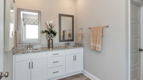 Counter space inside the primary bathroom.