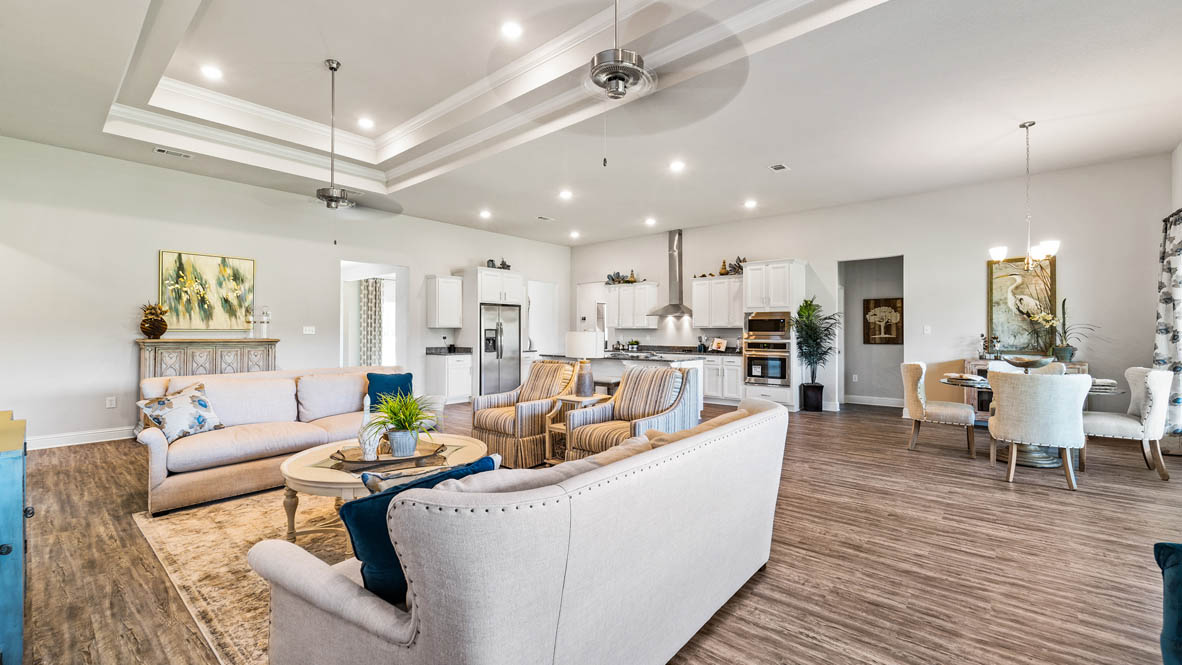 New construction home with neutral decor, trey ceiling and elegant feel