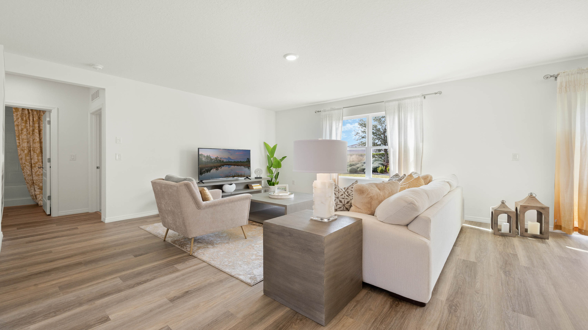 hayden living room