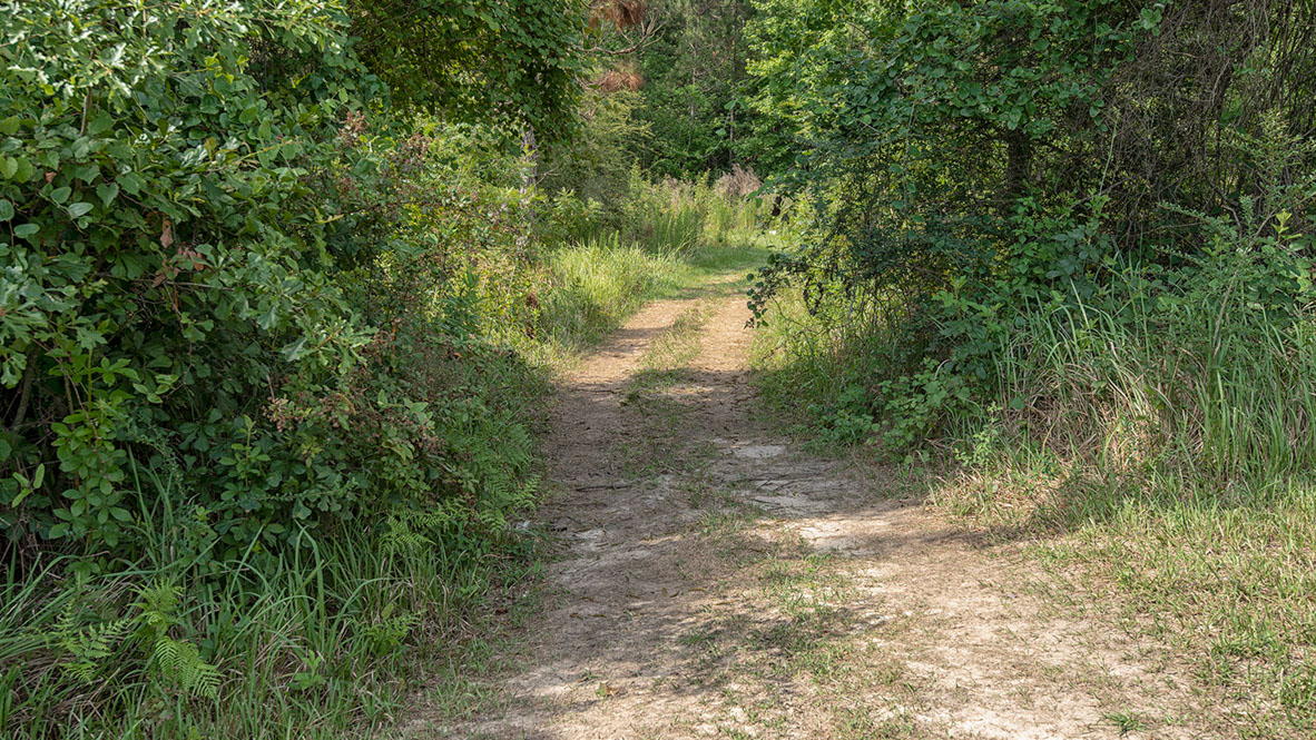 trails