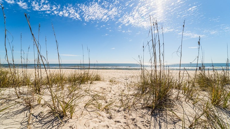 beach