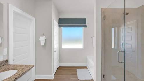 Jasmine floor plan interior