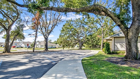 Street