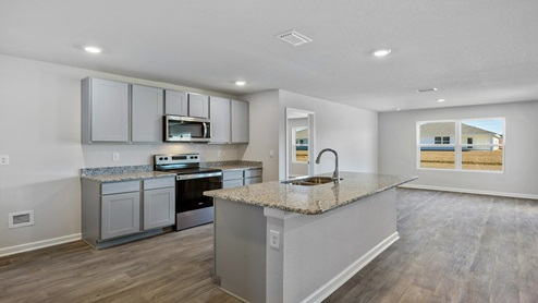 Aria new home interior.