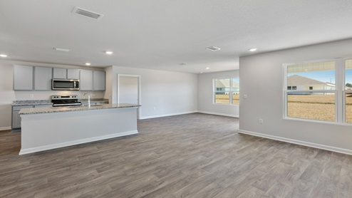 Aria new home interior.