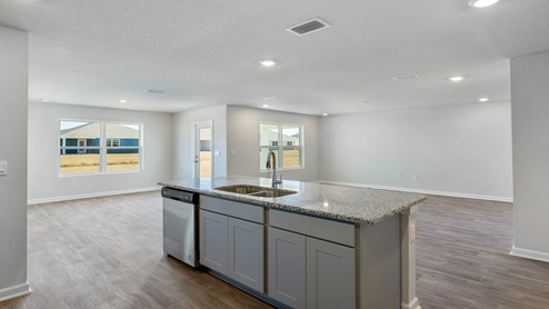Aria new home interior.