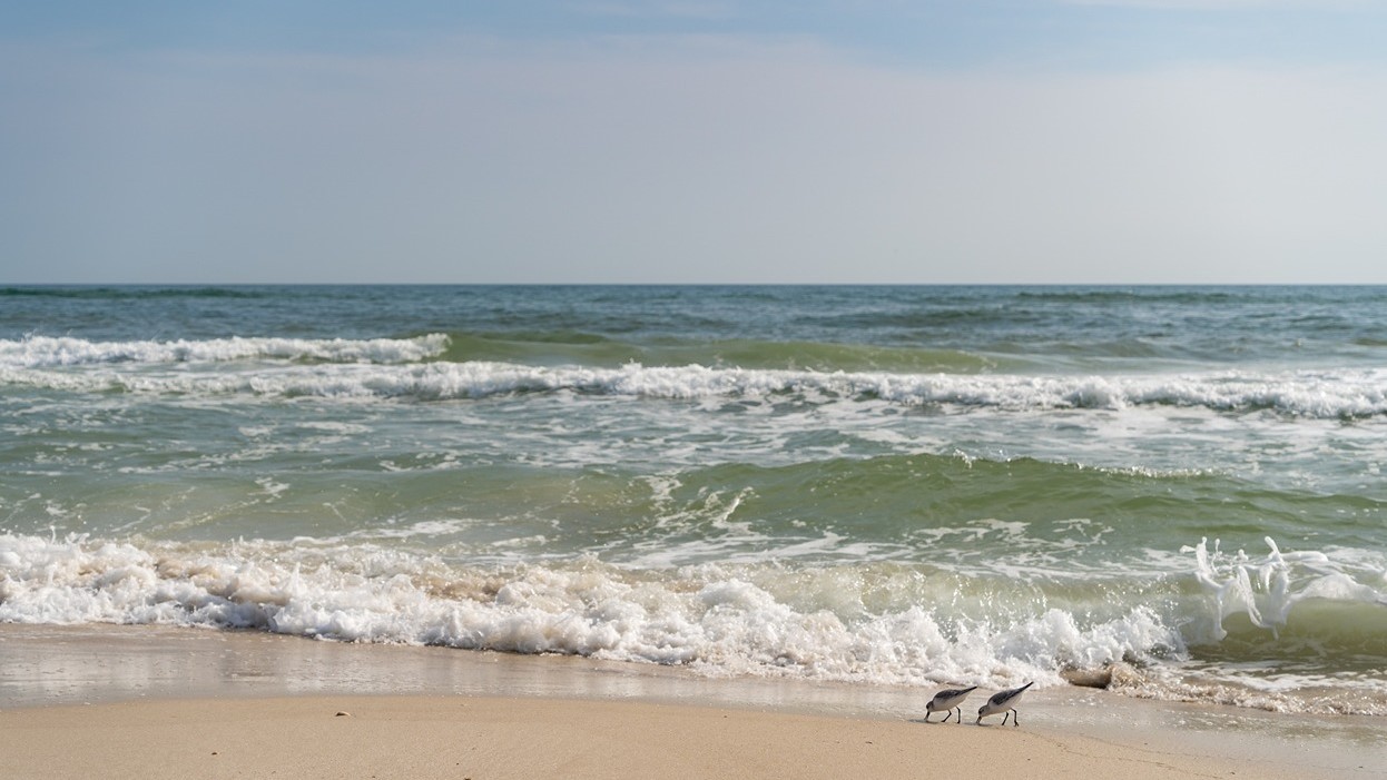 beach