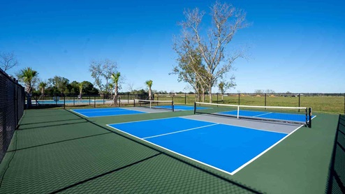 Pickleball.