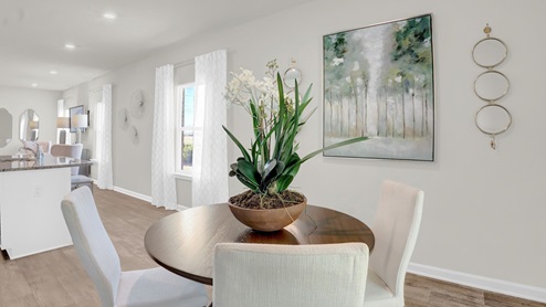 Julia model home interior..