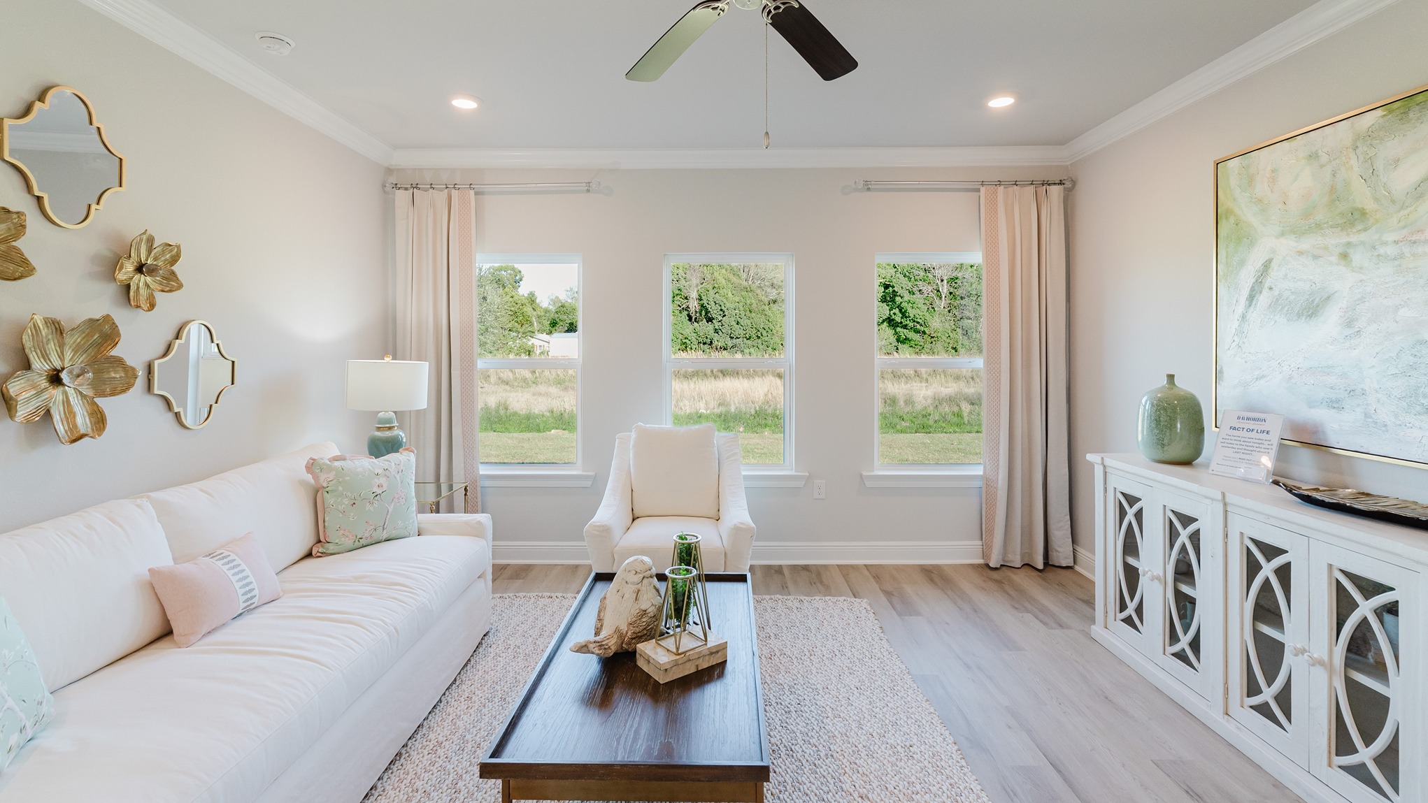 Grayson new home interior