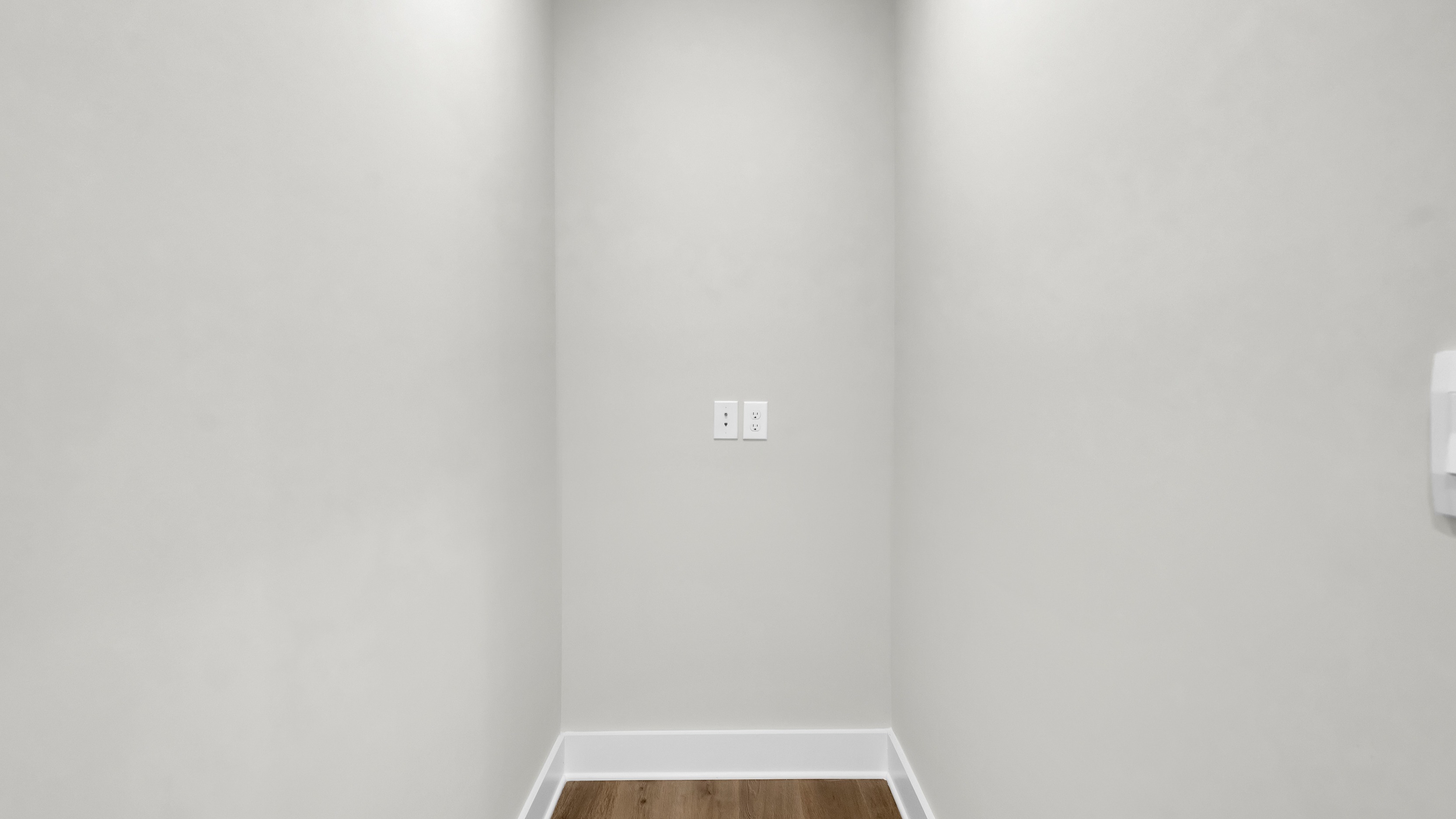Pecan interior