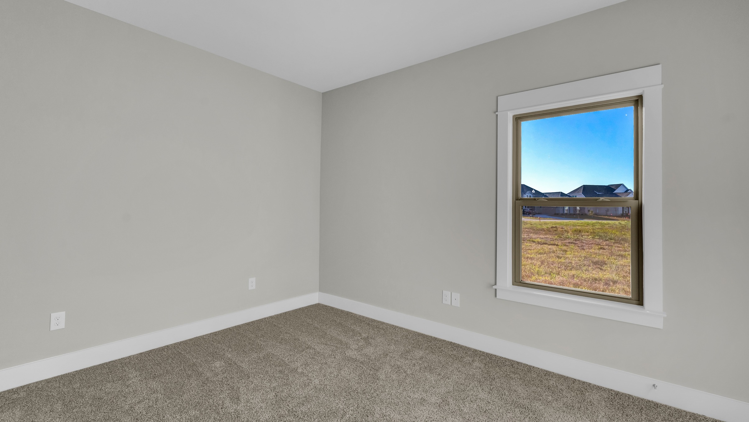 Pecan interior