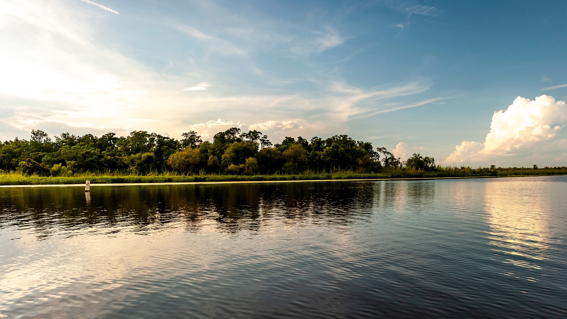 Beautiful scenery and natural wildlife in Baldwin County, Alabama.