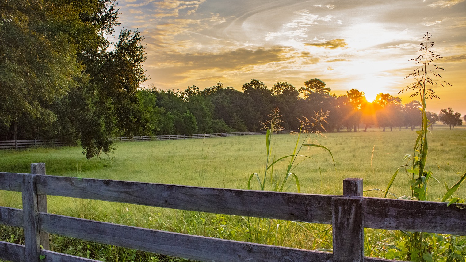 Beautiful scenery and natural wildlife in Baldwin County, Alabama.