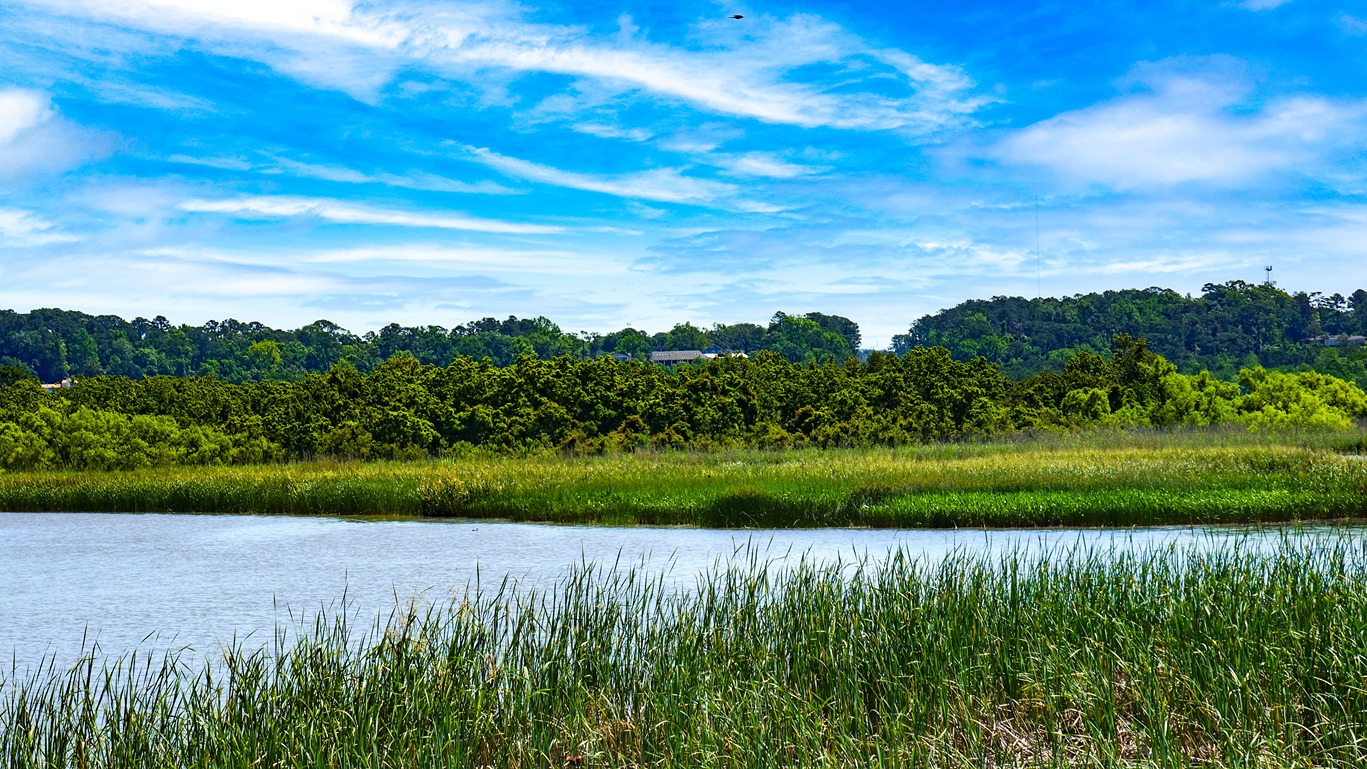 Beautiful scenery and natural wildlife in Baldwin County, Alabama.
