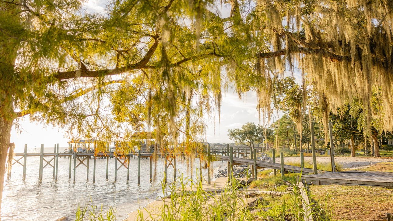 Beautiful scenery and natural wildlife in Baldwin County, Alabama.