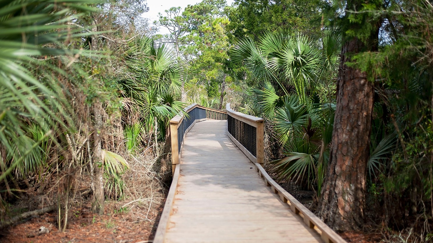 Beautiful scenery and natural wildlife in Baldwin County, Alabama.