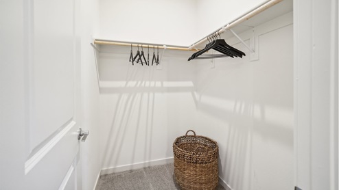walk-in closet with upper shelving and pole