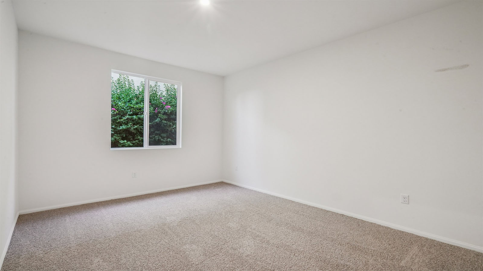 Secondary bedroom with carpet