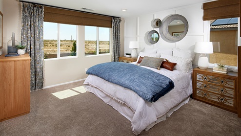 Primary bedroom with plush carpet