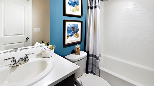 Bathroom with vanity and tub shower combination