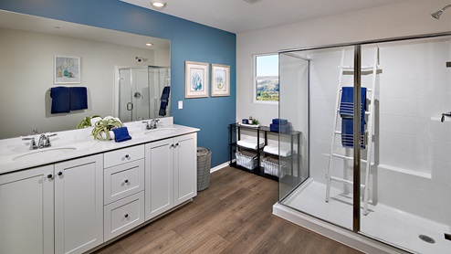 Primary bathroom with walk in shower and double sinks