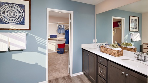 Primary bathroom and spacious walk-in closet