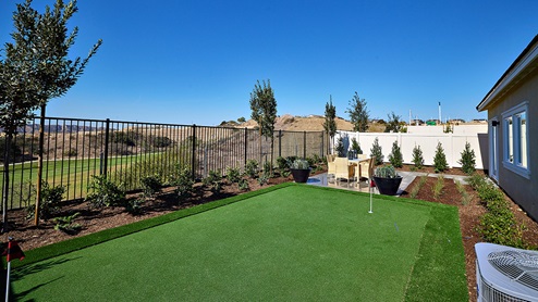 Spacious backyard and lawn area