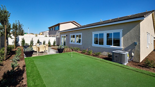 Spacious backyard and lawn area