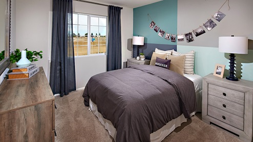Fully furnished bedroom with plush carpet