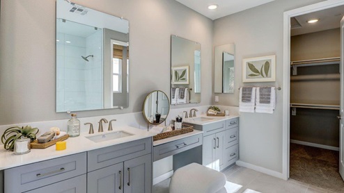 Primary bathroom with walk-in shower, vanity, and walk-in closet