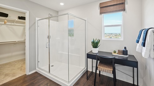 Primary bathroom with walk-in closet